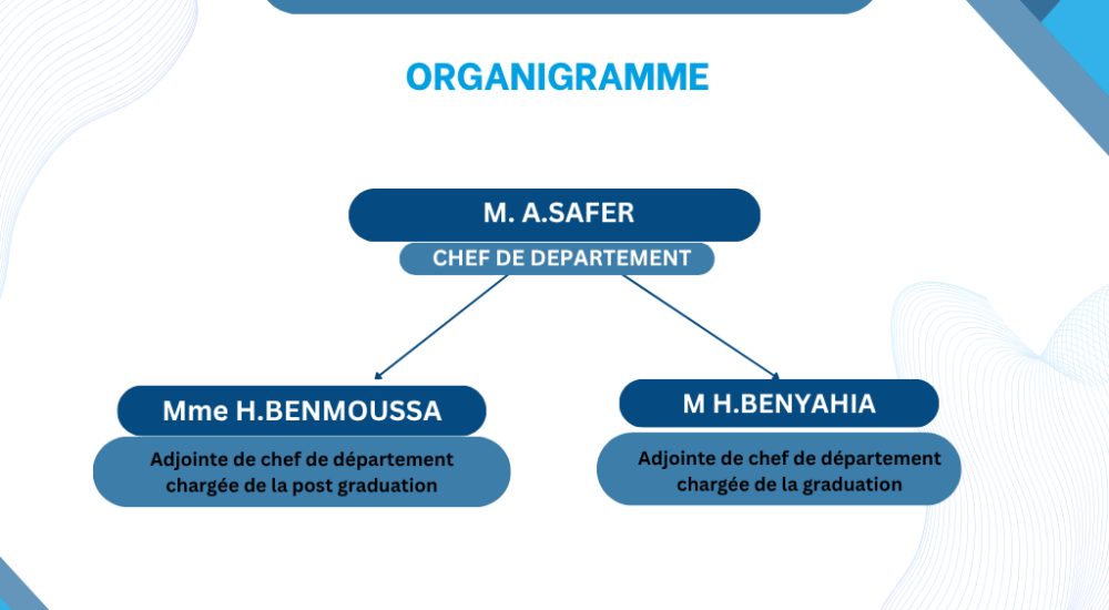 White and Blue Minimalist Organizational Chart Graph (4)