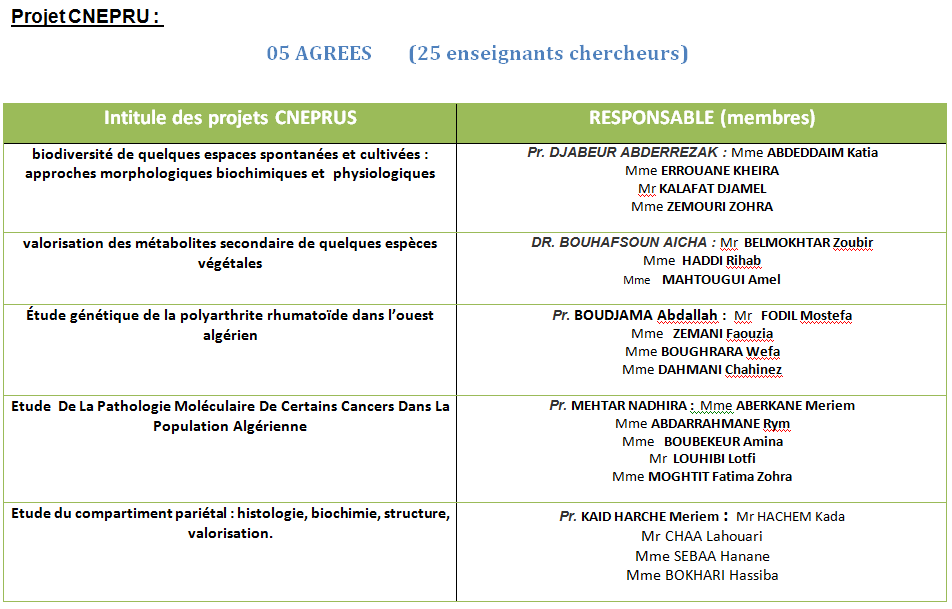 projet cnerpru