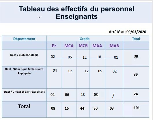 effectif enseignants 19 20