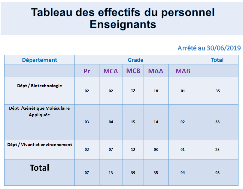 stat effectif enseignant 18 19