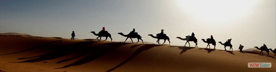 algeria_sun