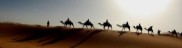 algeria_sun